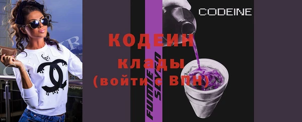 apvp Инта
