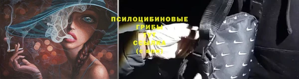 apvp Инта