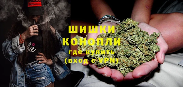 apvp Инта