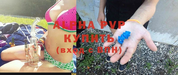 apvp Инта