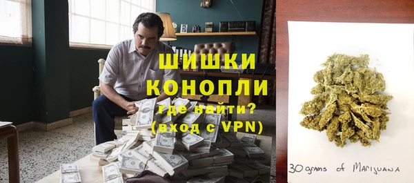 ALPHA PVP Инсар