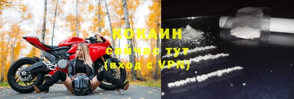 ALPHA PVP Инсар