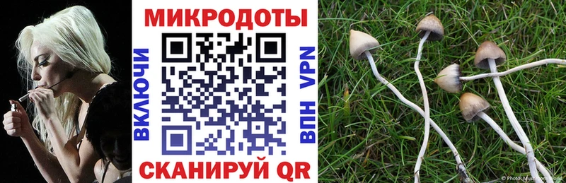 Купить закладки Калининск Галлюциногенные грибы Psilocybe